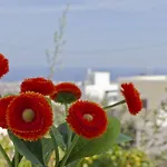 Sweet Pop (adults Only) 4* Fira (Santorini)